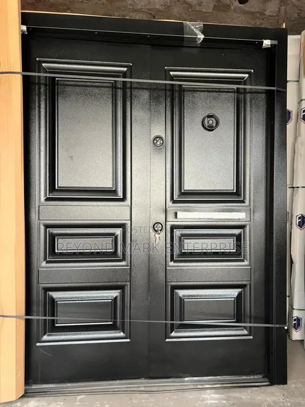 Double Security Door · Photo 1