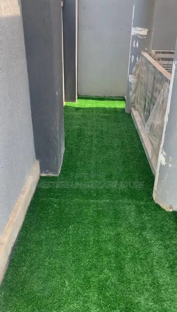 Astro Turf Carpet · Photo 1
