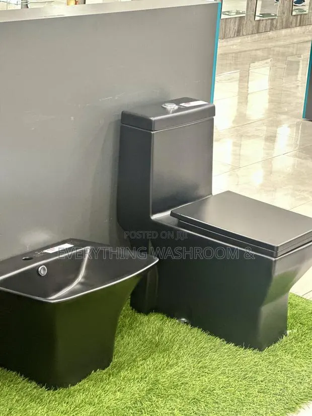 Black Water Closet and Hanging Basin_ Heavy Master Bed Wc · Photo 1