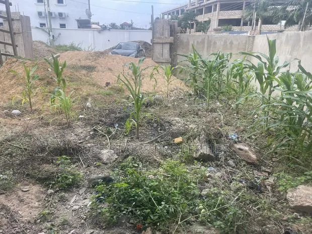 Half Plot of Land4sale at Tse Addo Behinde Tradefair Labadi · Photo 2
