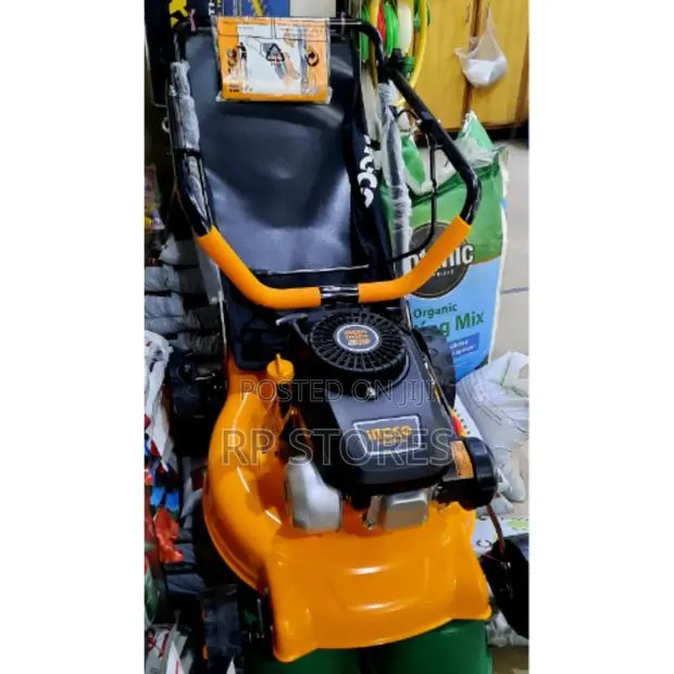 Ingco Lawn Mower 4.65hp · Photo 1