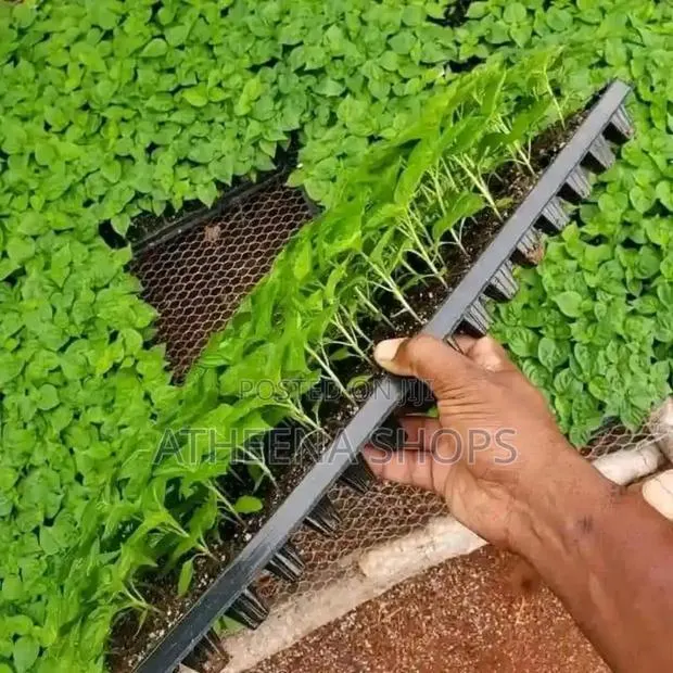 Seedling Nursing Tray ( Can Nurse Up to 104 Seedlings) · Photo 1