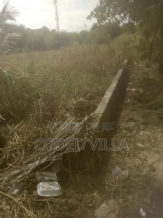 Land for Sale · Photo 3