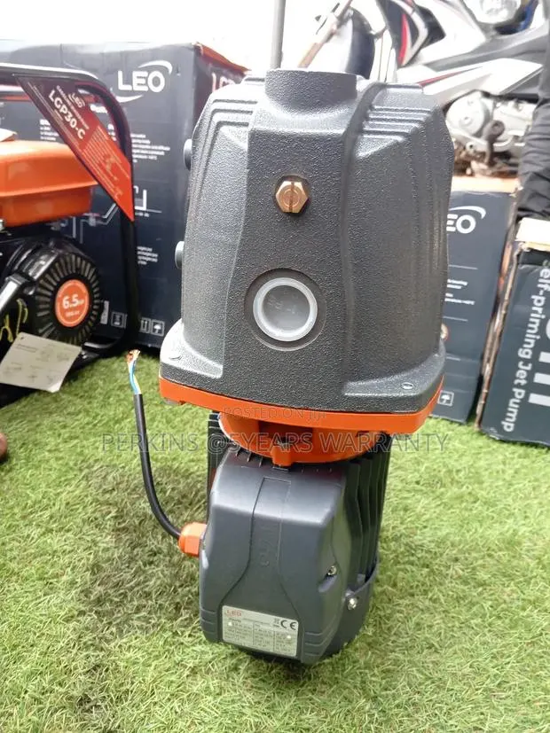 Leo 1.5hp Quality Water Pump · Photo 1