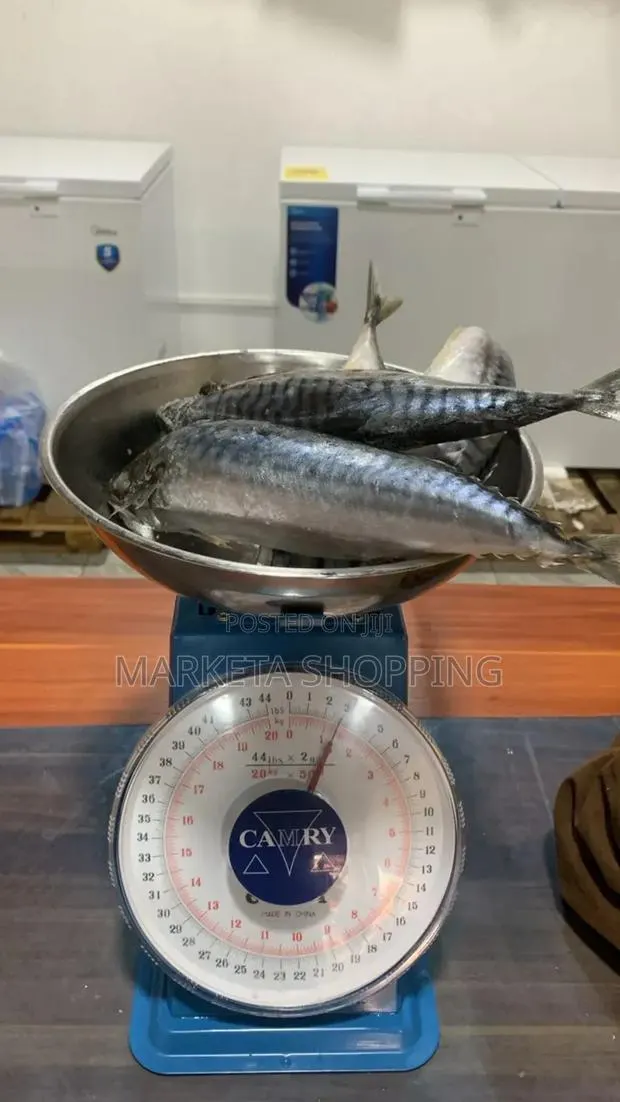 Salmon Medium 20+ Foreign · Photo 1