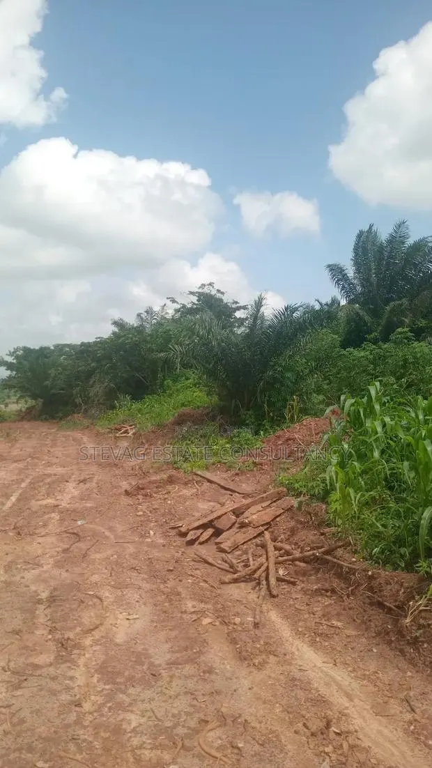 Alpha Investment Land for Sale at Kasoa Buduatta · Photo 1