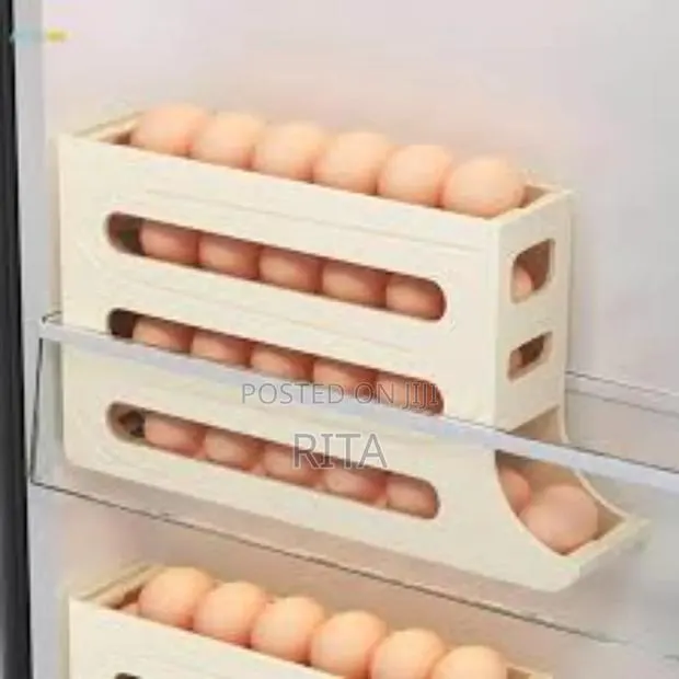 Fridge Egg Dispenser · Photo 1