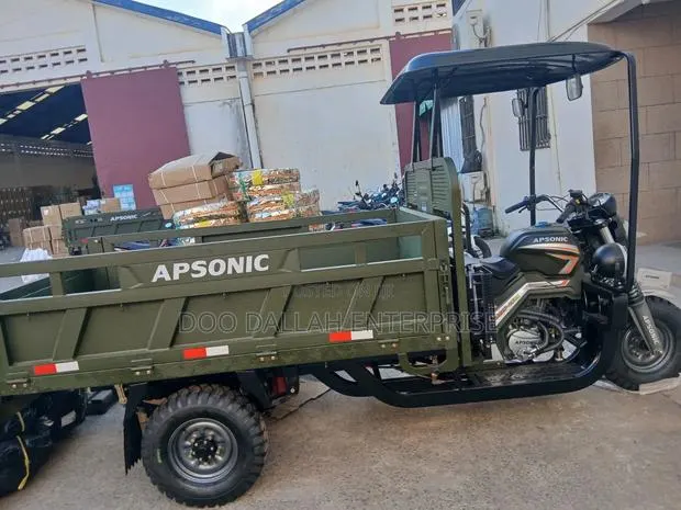 New Apsonic AP250 PRO 2026 Brown · Photo 1