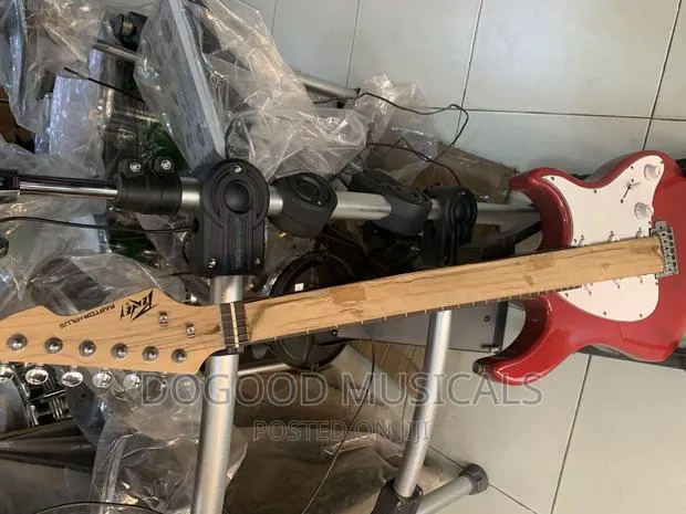 Peavey Raptor Plus Lead Guitar · Photo 1