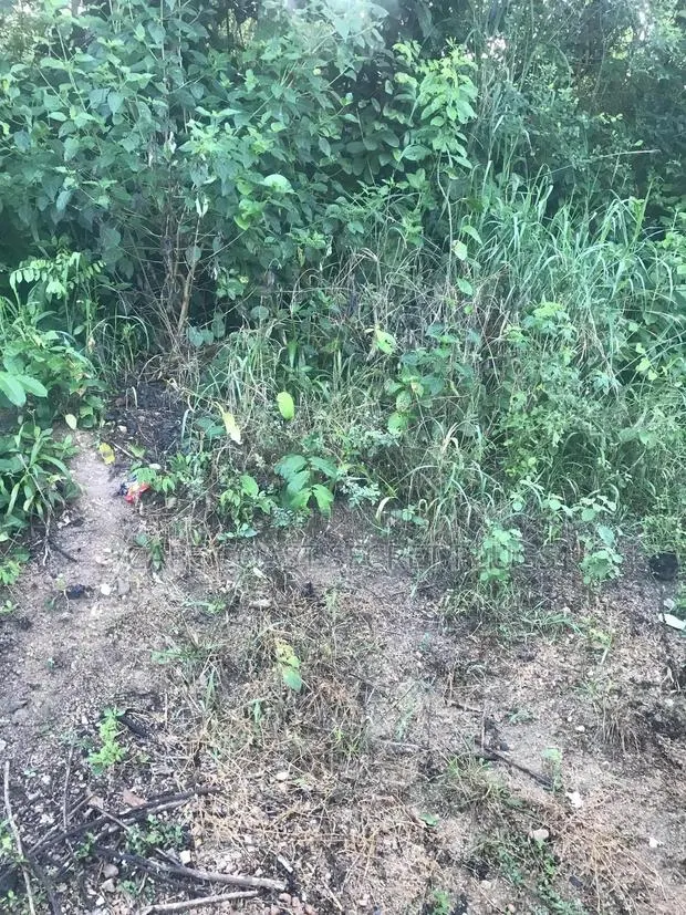 Half Plot Going for Cool Price · Photo 1