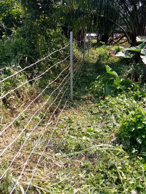 Quality Barbed Wire for Fencing · Photo 1