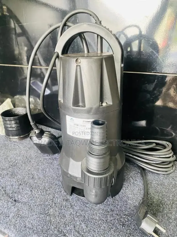 Rio 1.5hp Garden Submersible Water Pump · Photo 1