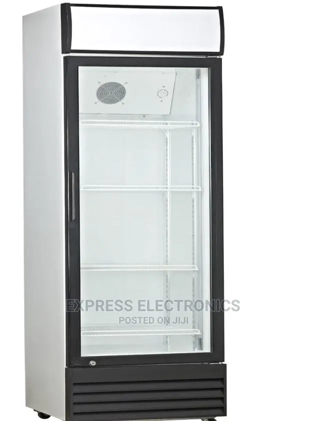 Vertical Display Icestream Fridge UNI-300C 238LTRS · Photo 1