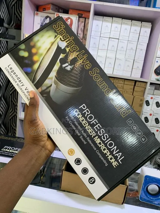 Professional Condenser Microphone · Photo 1
