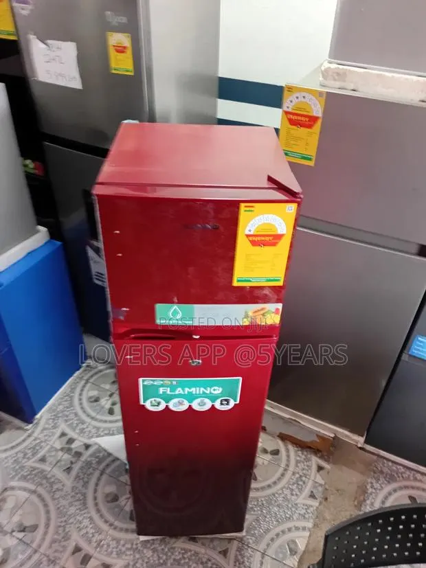 Flamino Refrigerator – Efficient, Durable, Stylish · Photo 1