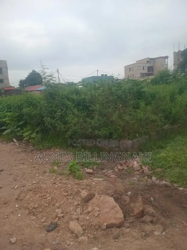 Land at Joma Tampico Junction · Photo 1