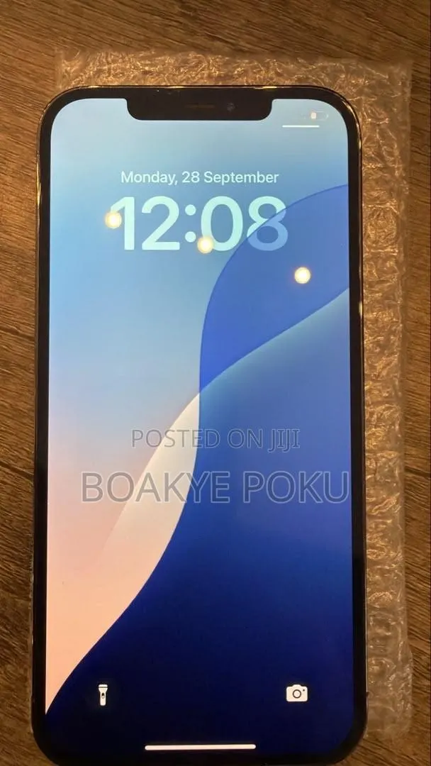 Apple iPhone 12 Pro Max 256 GB Gray · Photo 1