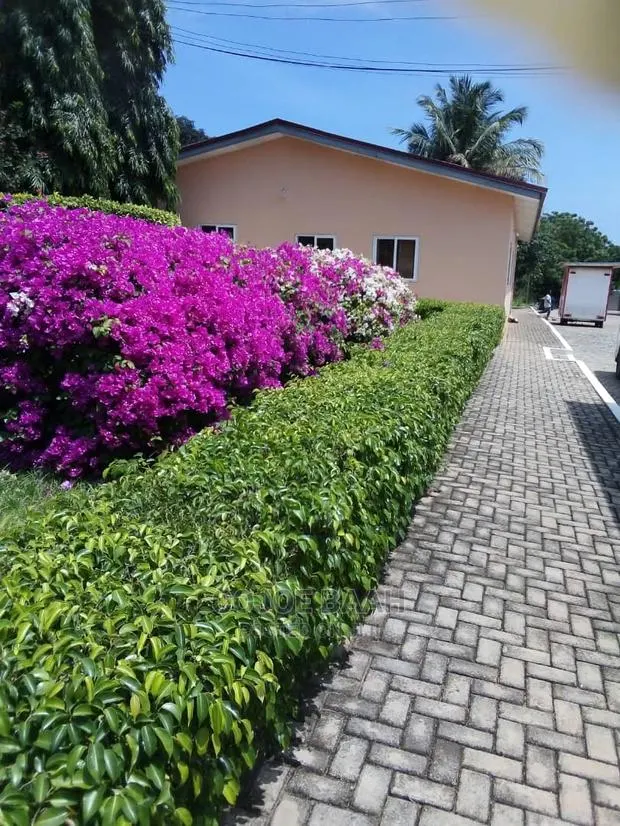 Garden and Landscape · Photo 1