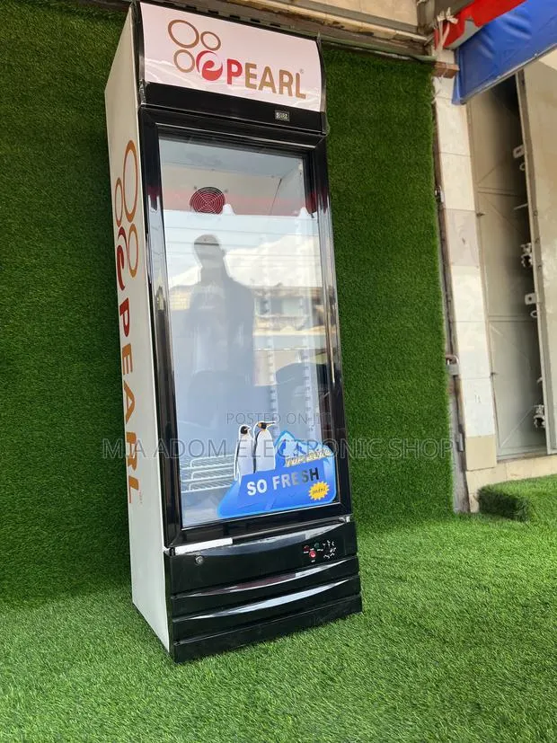 Fros Free Energy Saving Pearl 248 Litres Showcase Fridge · Photo 1