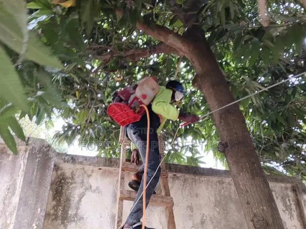 Me and You Fumigation With Cleantex · Photo 1