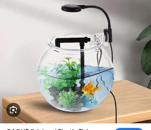 Package Fish Bowl · Photo 1