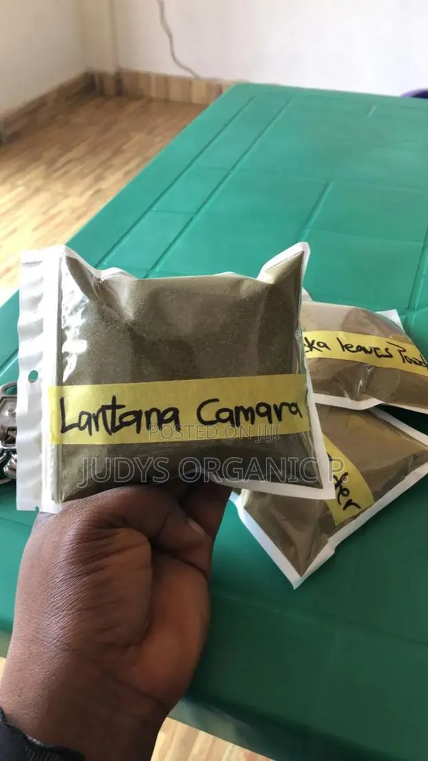 Lantana Camara Powder · Photo 1