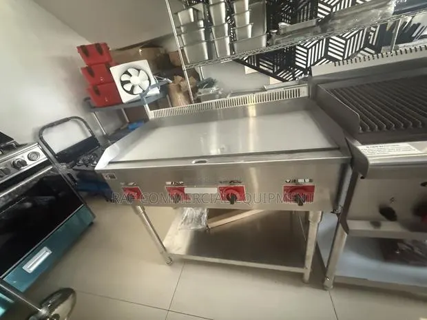 Commercial Stainless Steel Standing Gas Grill · Photo 1