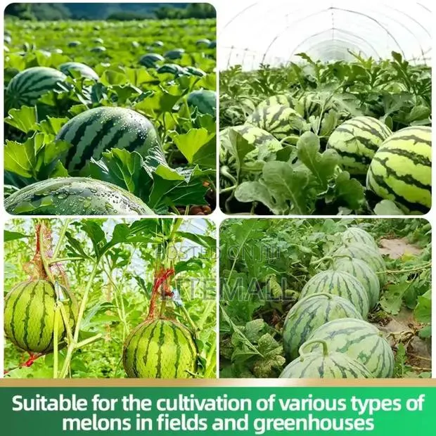 Watermelon Special Fertilizers · Photo 1