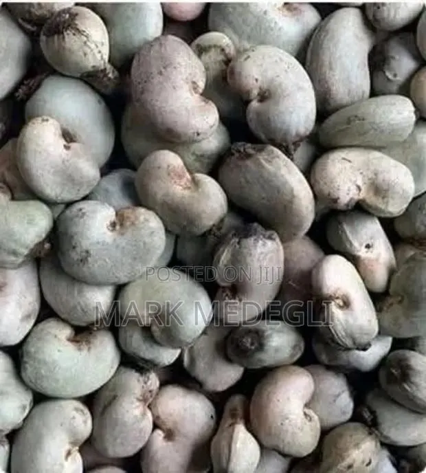 Raw Cashew · Photo 1