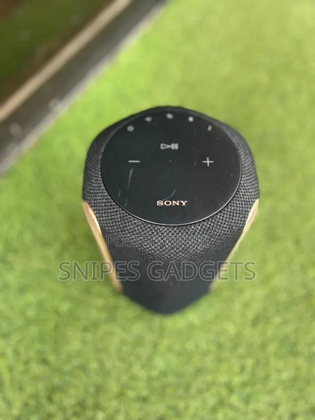 Sony SRS Ra3000 Wireless/Bluetooth Smart Speaker (Alexa) · Photo 1