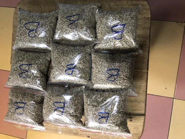Brachaira Grass Seeds · Photo 1