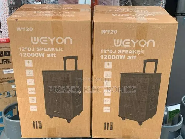 Weyon 12" Dj Speaker 1200w · Photo 1