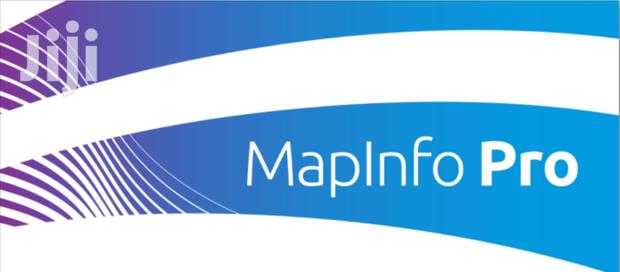 Mapinfo V17 With Datamine Discover · Photo 1
