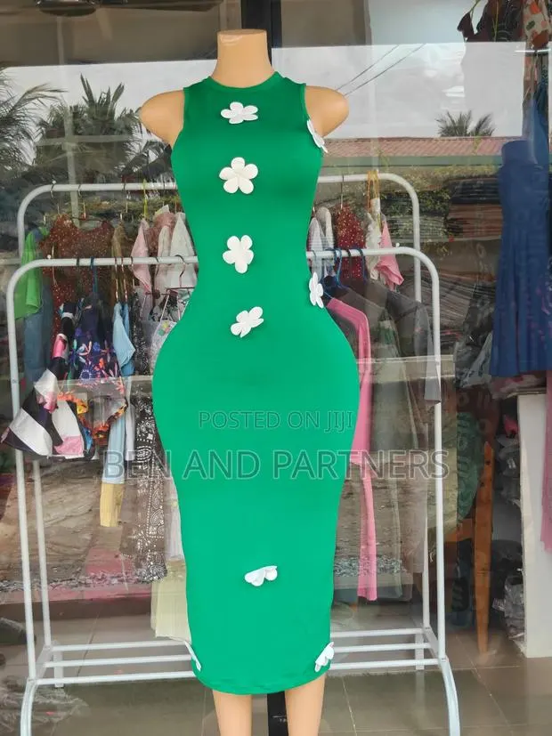 Ladies Dress · Photo 1