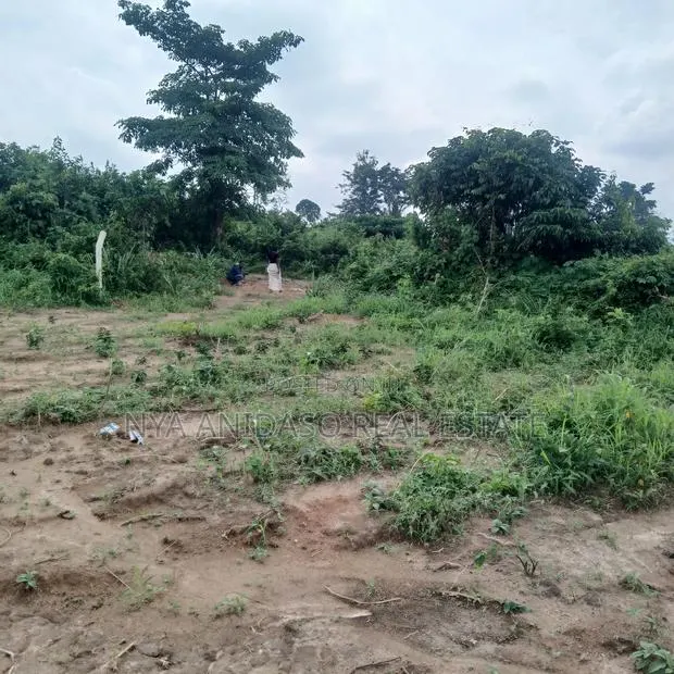 Three Plots of Land for Sale · Photo 1