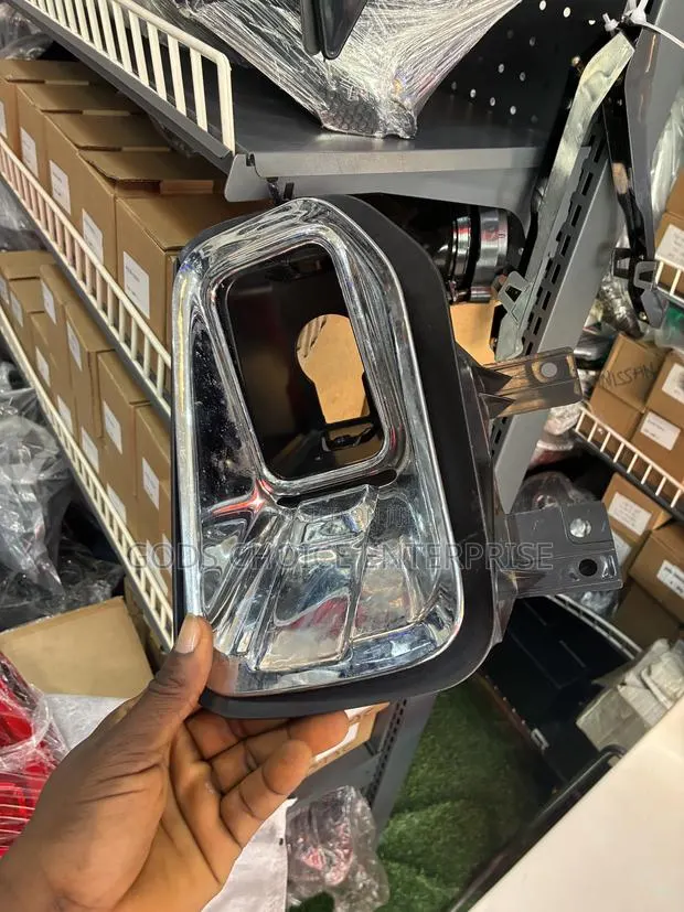 Foglight Cover With Chrome F150 2015-2016-2017 · Photo 1