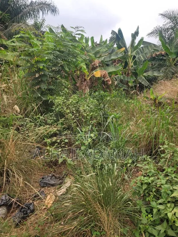 One Acres Land for Sale at Ahemakokoben Abuabuta · Photo 1