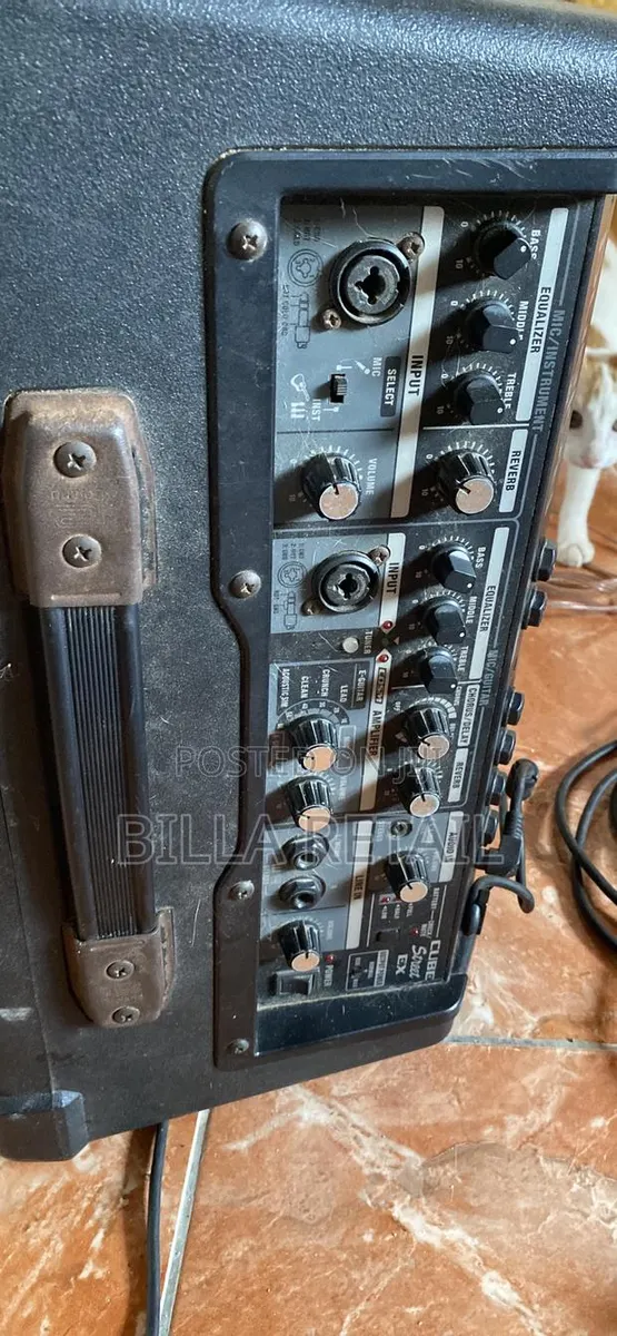 Roland Street Ex Battery Powered Speaker · Photo 1