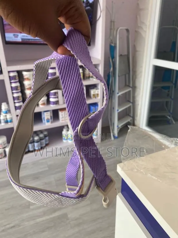Harnesses and Leash for Dogs · Photo 1
