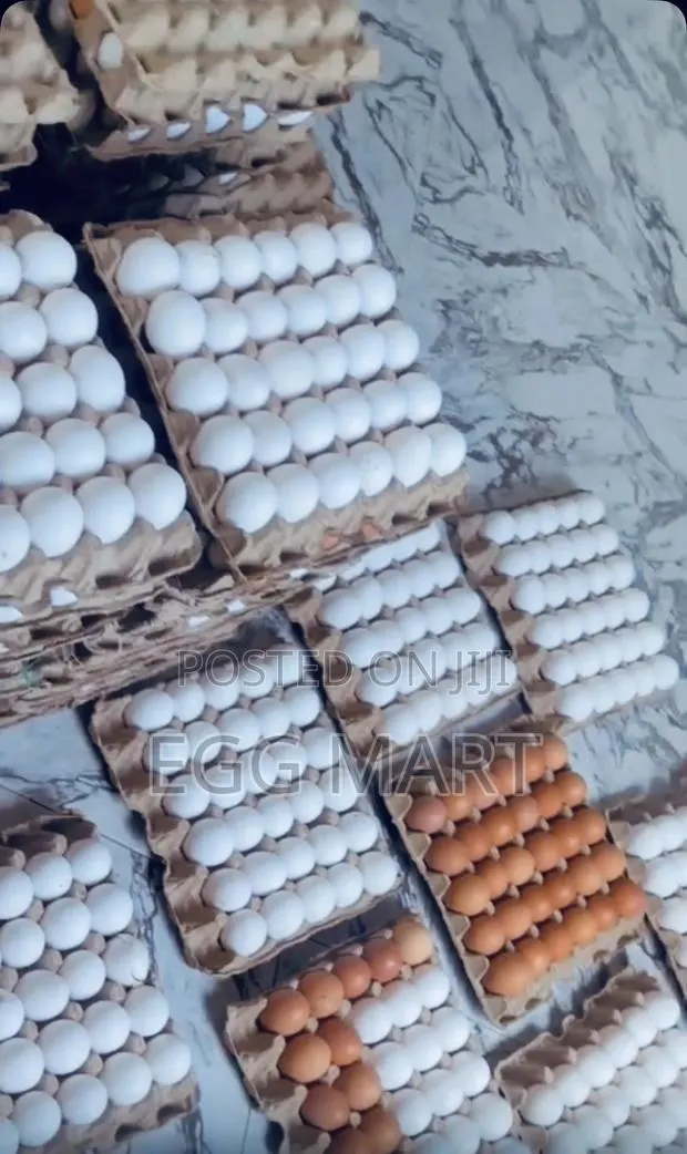 Fresh Farm Eggs for Sale · Photo 1
