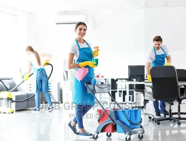 Home to Home Cleaners · Photo 1