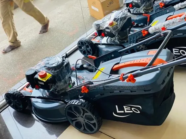Pick Up the Leo 5.5hp Lawn Mower (Lm51z-2l) · Photo 1