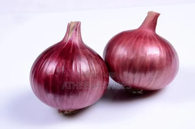 Onion Seeds · Photo 2