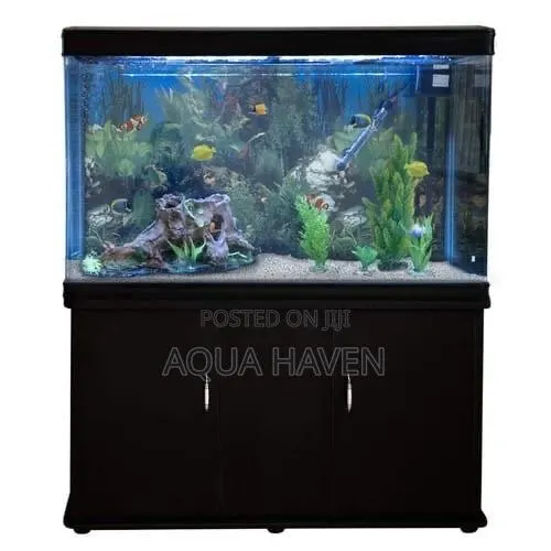 Cabinet Aquarium · Photo 1
