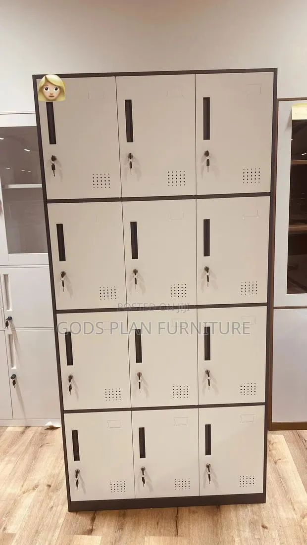 Office Cabinet ( 12 Lockers) · Photo 1