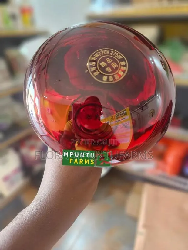 Infrared Heat Bulb · Photo 1