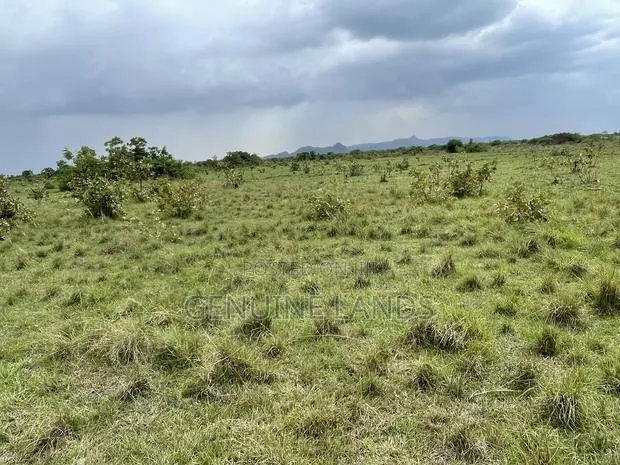 Invest in Shai Hills Lands, Wise Choice to Secure the Future · Photo 1