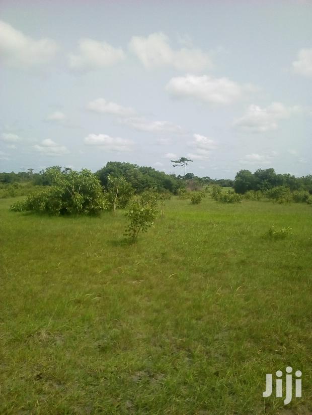 20.000 Acres of Farm Land for Sale · Photo 3