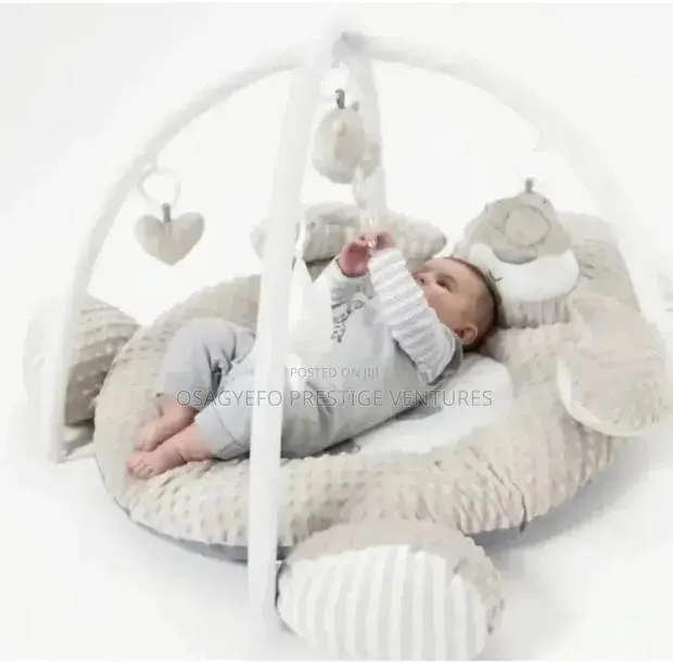 Luxury Baby Nest Play Gym / Baby Activity Lounger · Photo 1
