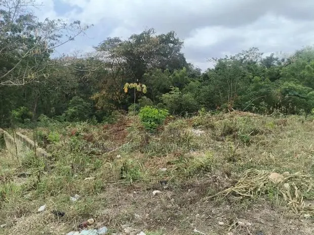 Land for Sale · Photo 1